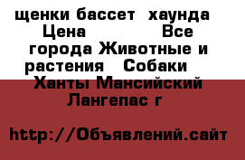 щенки бассет- хаунда › Цена ­ 20 000 - Все города Животные и растения » Собаки   . Ханты-Мансийский,Лангепас г.